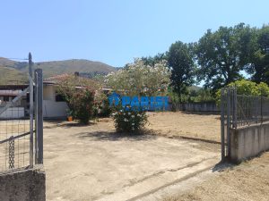 IMG-20240729-WA0039