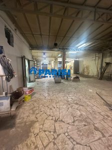 WhatsApp Image 2026-03-11 at 09.36.22 (3)